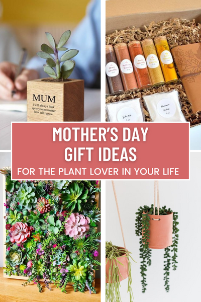 Mother's Day Gifts for the Plant Lover in Your Life