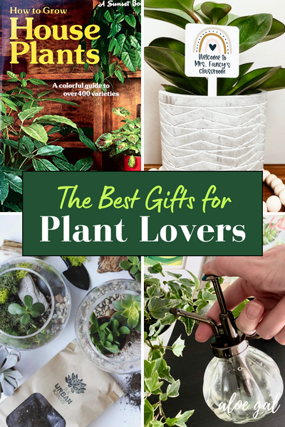 Green Gifting: The Best Gifts for Plant Lovers